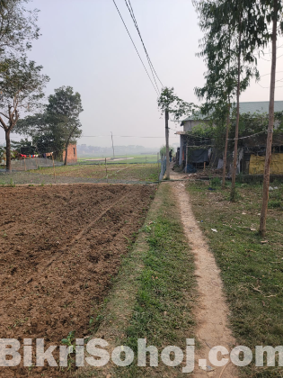 জমি